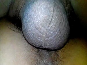 ♪ „t Tam” ♫n Yê U!