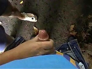 Huge Boob MILF Cuckold In Woods