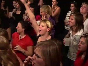 Intensive Orgie-Action Mit Heißen Fillies