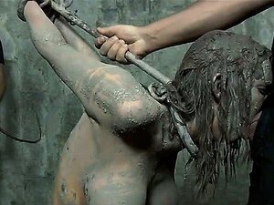 Tämja Ett Sexigt Par Fötter