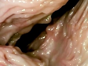 How Does Sex Look From Inside! Vagina Close Up. Porn