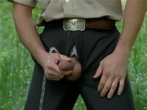 Bear Workers In The Forest,