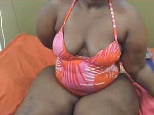 Cul D'âne Africain