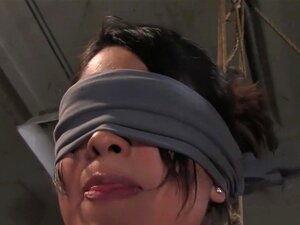 Gekke Fetisj Xxx Video Met Exotische Pornoster Princess Donna Dolore Van Wiredpussy, Leah Is Een Bloedhete Lokale Meid Die Totaal Nieuw Is In Porno En Bondage. Ze Weet Niet Wat Ze Moet Verwachten, Maar Beseft Al Snel Dat Princess Donna Serieus Is, En Dat 