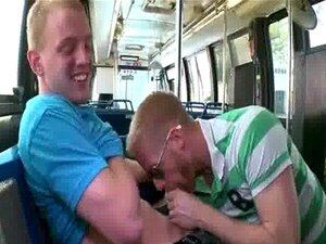 Projectbusty True Power BottomBearbeiten