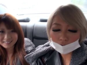 Јапанци у костиму мачкице у јавном обрнутом ганг бенг-у